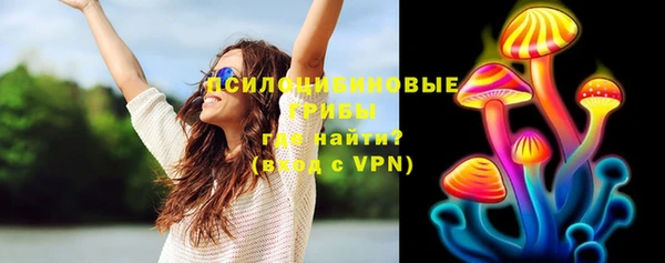 молекула духа Каменка