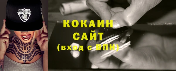 молекула духа Каменка
