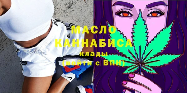 молекула духа Каменка