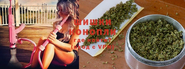 молекула духа Каменка