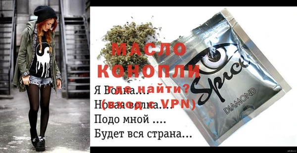 молекула духа Каменка