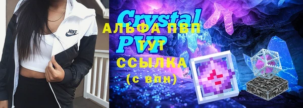 молекула духа Каменка