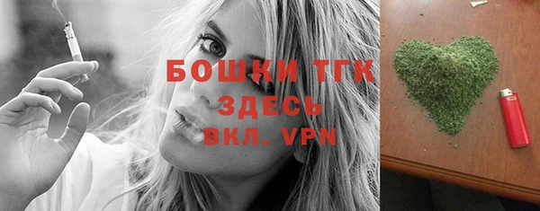 молекула духа Каменка