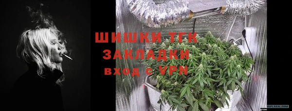 молекула духа Каменка