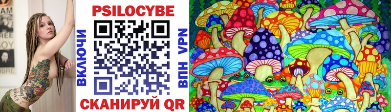Псилоцибиновые грибы мицелий  Купить  Гусиноозёрск 